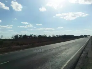 Eneo La Kibiashara Linauzwa Milioni 250 Linatazama Lami.