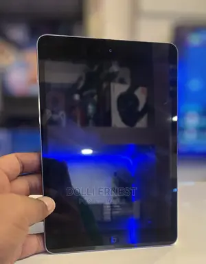 Apple iPad Mini 2 16 GB Gray