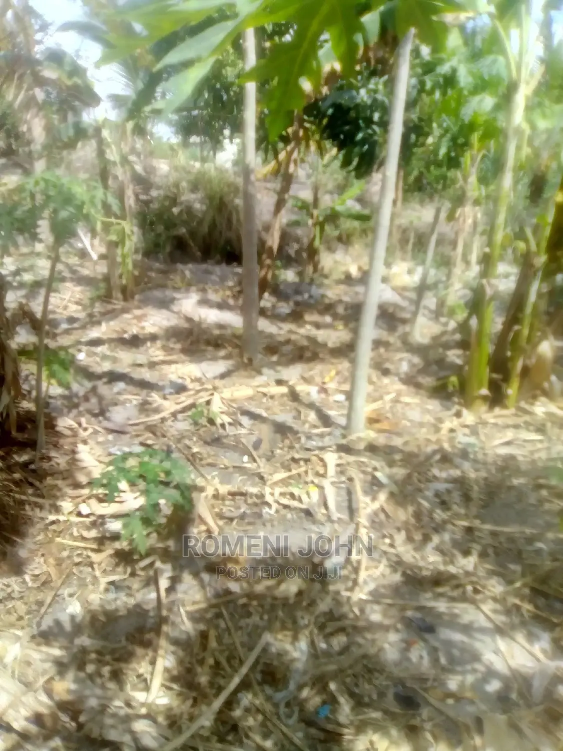 Furnished 8bdrm Townhouse/Terrace in Tanzania Daressalaam for Sale