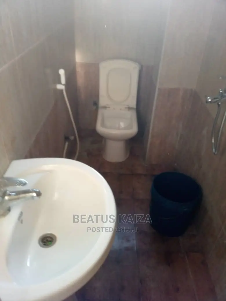Furnished 3bdrm Apartment in Kariakoo Living for rent