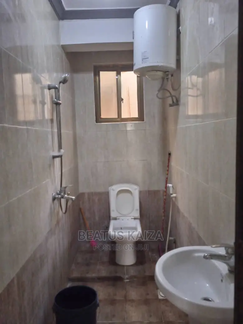 Furnished 3bdrm Apartment in Kariakoo Living for rent