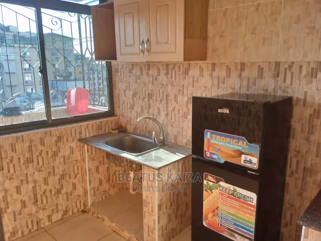 Furnished 3bdrm Apartment in Kariakoo Living for rent