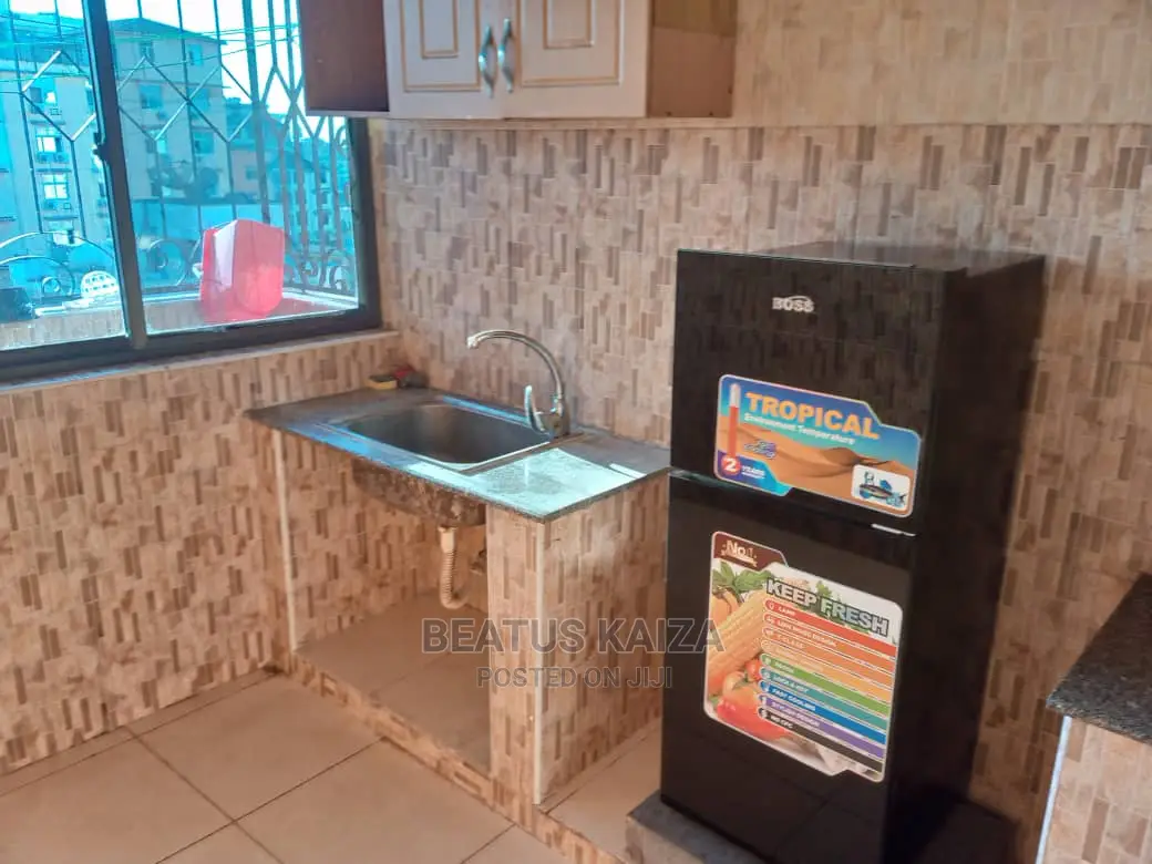 Furnished 3bdrm Apartment in Kariakoo Living for rent