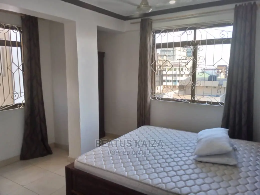 Furnished 3bdrm Apartment in Kariakoo Living for rent