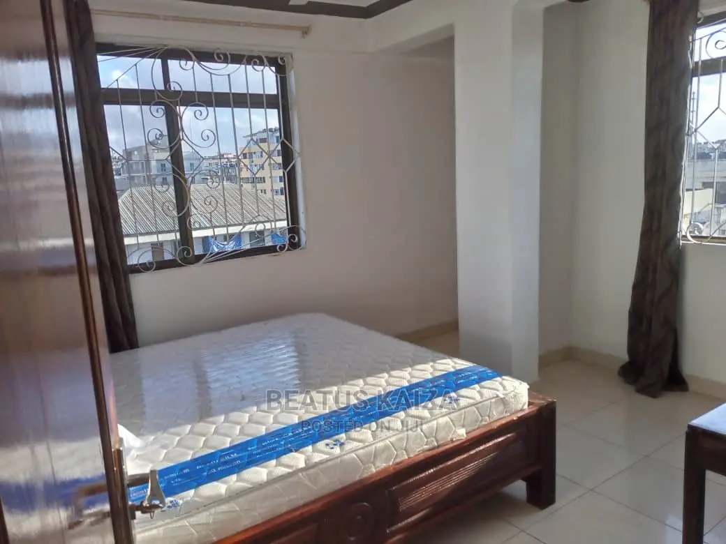 Furnished 3bdrm Apartment in Kariakoo Living for rent