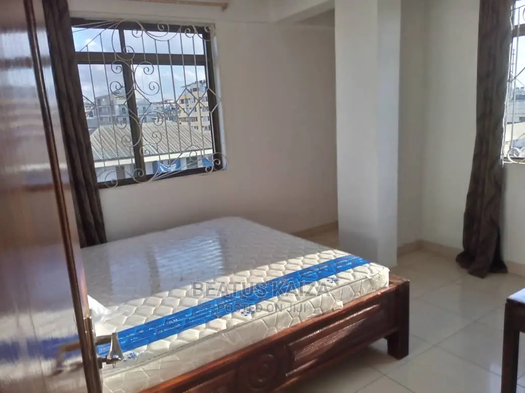 Furnished 3bdrm Apartment in Kariakoo Living for rent