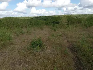 Shamba Linauzwa Kiwangwa Mwetemo