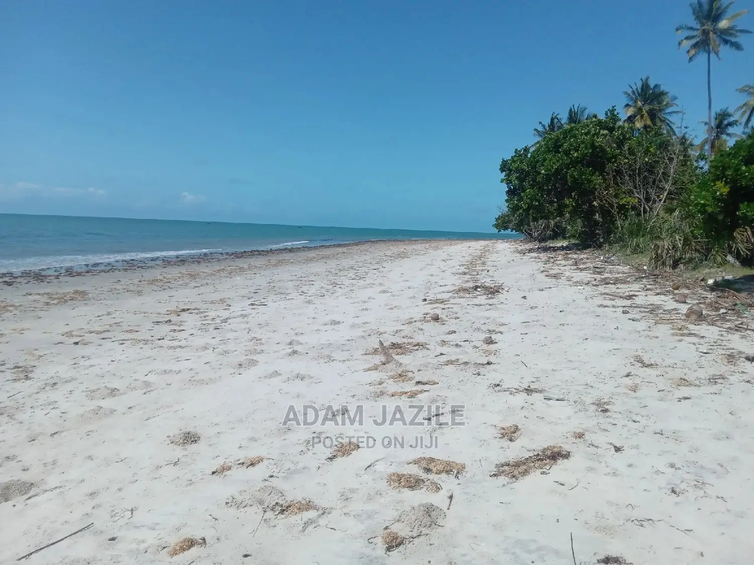 Beach Prote Inauzwa Mkwaja Pangani Tanga