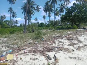 Beach Prote Inauzwa Mkwaja Pangani Tanga