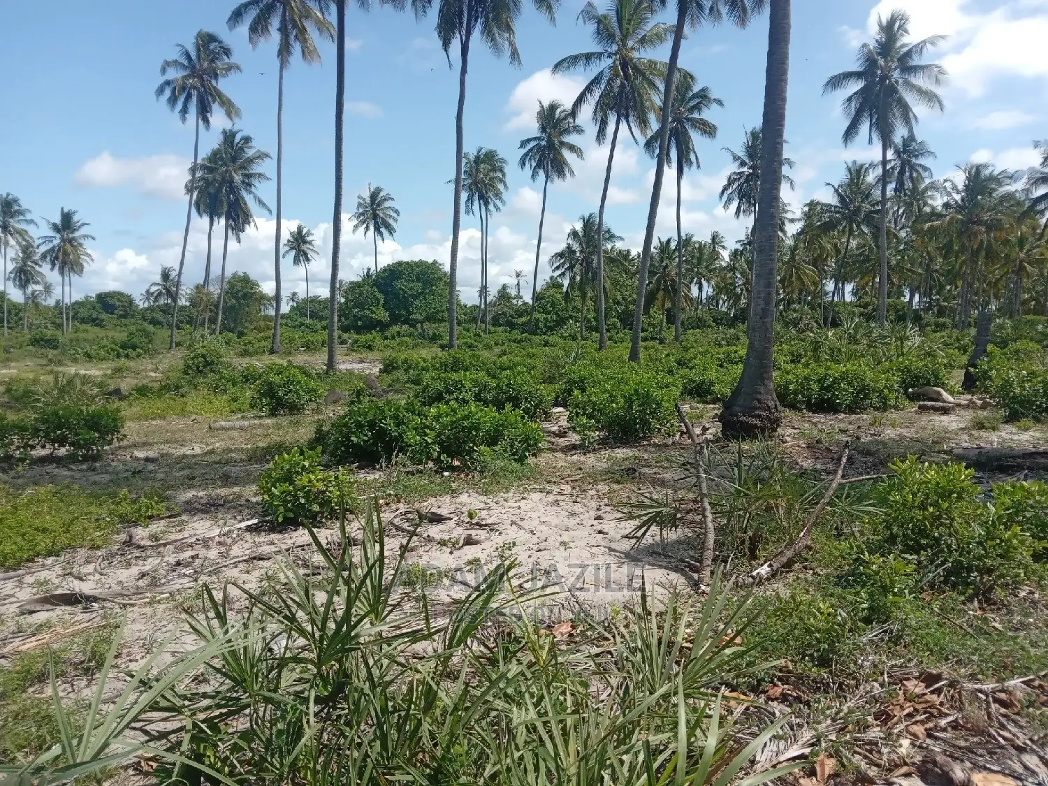 Beach Prote Inauzwa Mkwaja Pangani Tanga