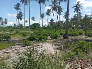 Beach Prote Inauzwa Mkwaja Pangani Tanga