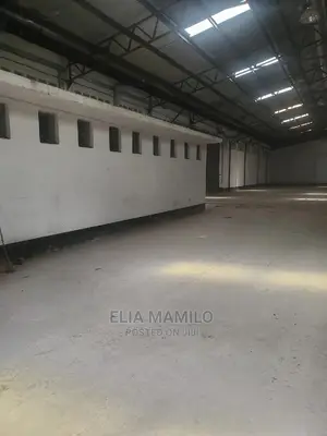 1000 Sqm Werehouse for Rent in Dar ES Salaam, Changombe