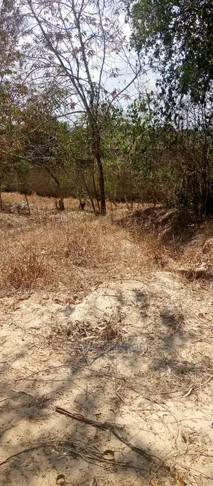 Plot Kubwa for Sale Loction Kibamba