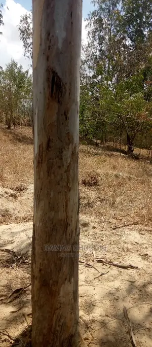 Plot Kubwa for Sale Loction Kibamba