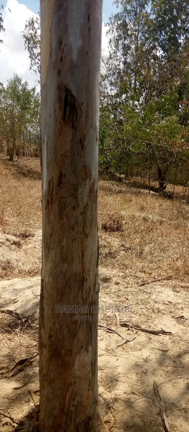 Plot Kubwa for Sale Loction Kibamba