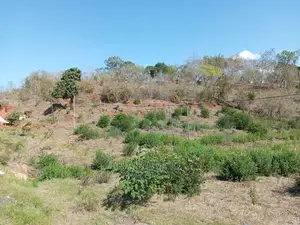 Commercial Land for Sale in Dar ES Salaam, Kibamba.