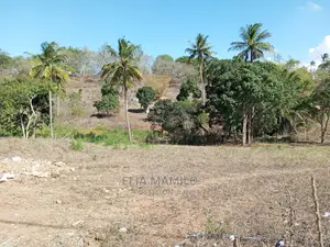 Commercial Land for Sale in Dar ES Salaam, Kibamba.