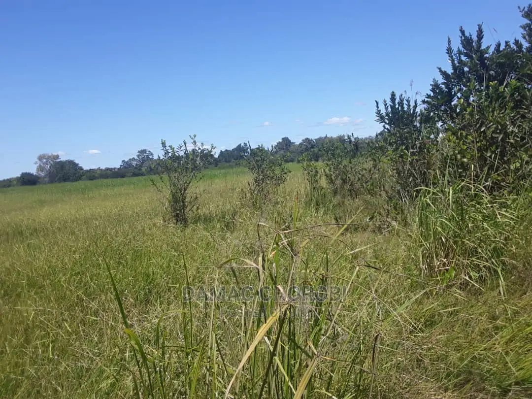 Acre 130 for Sale Ifunda -Iringa