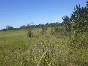 Acre 130 for Sale Ifunda -Iringa