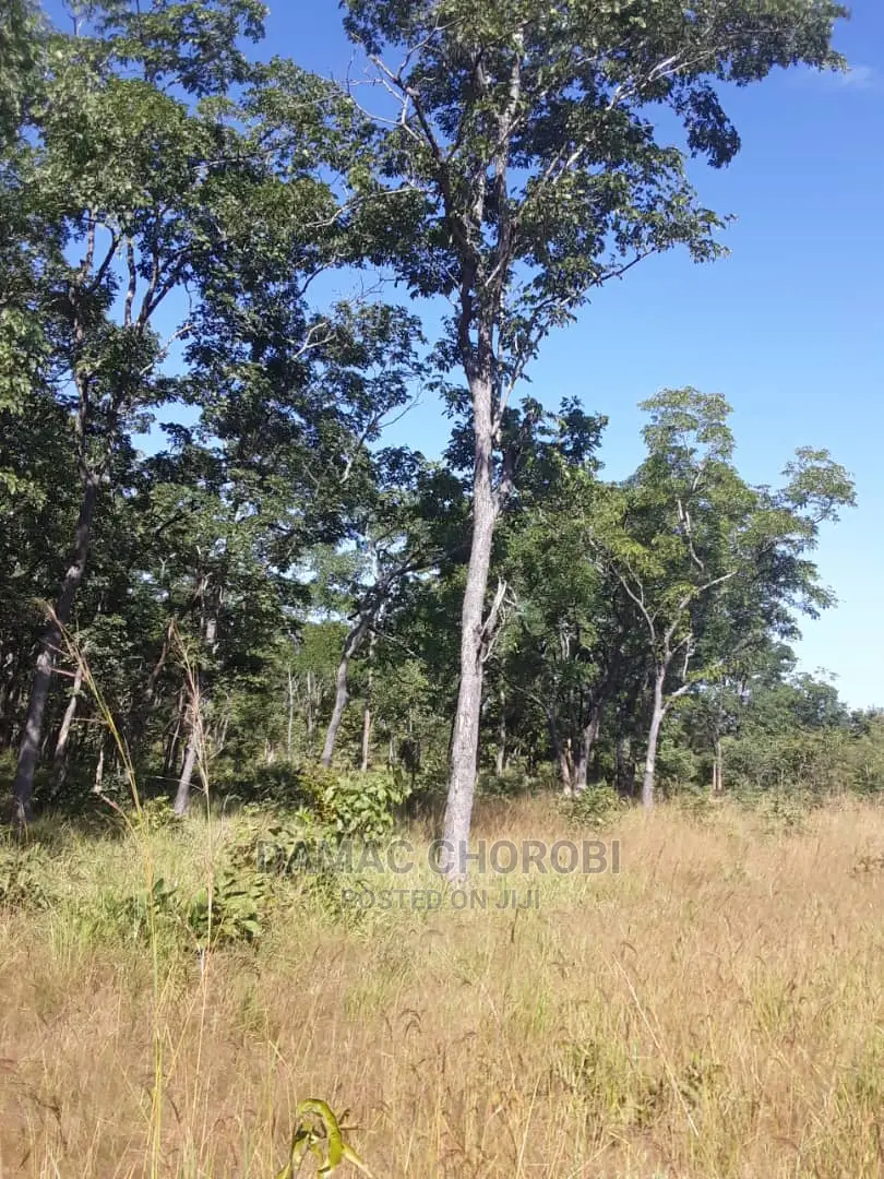 Acre 130 for Sale Ifunda -Iringa