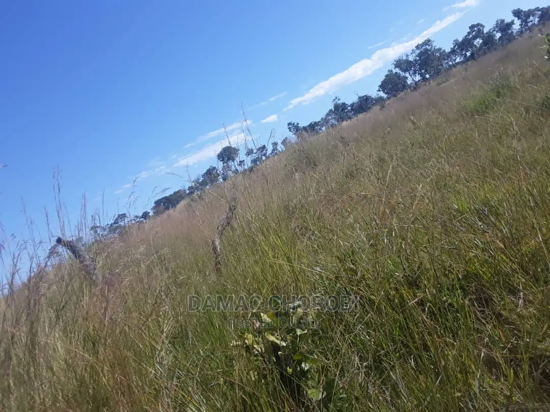 Acre 100 Kilolo for Sale