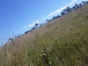 Acre 100 Kilolo for Sale