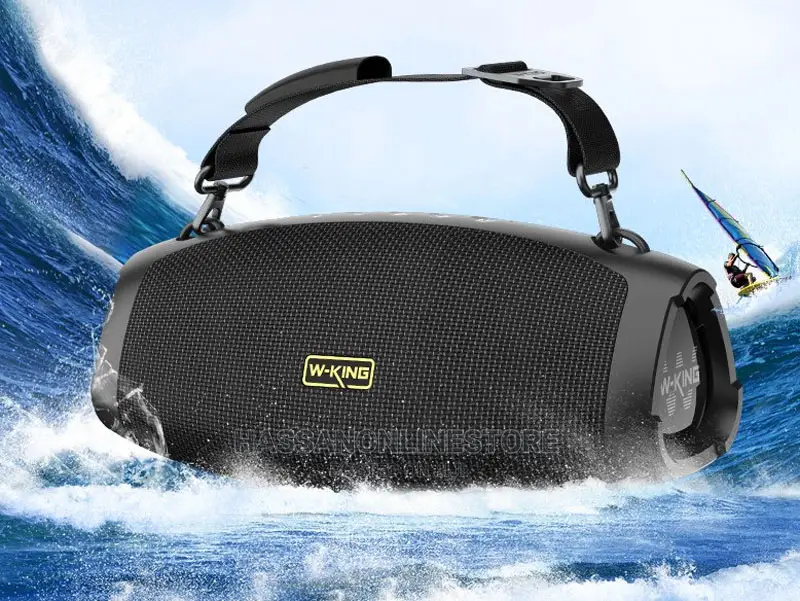 W King D10 Plus Bluetooth Speaker With Microphone