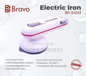 Mini Electric Dry Iron