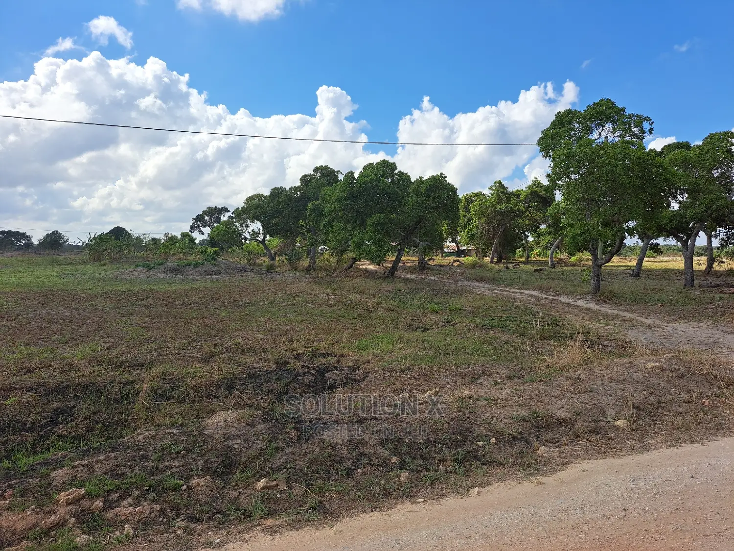 Eneo Linauzwa Bagamoyo Kitopeni Pwani