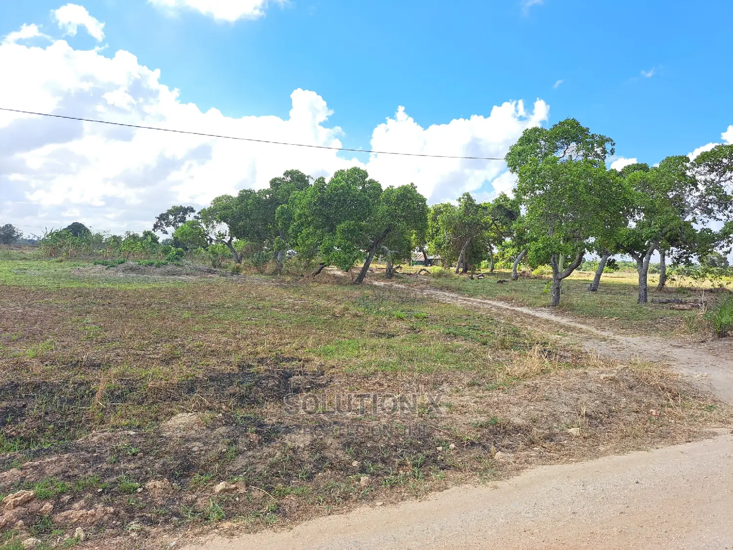 Eneo Linauzwa Bagamoyo Kitopeni Pwani