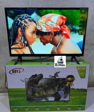 Soyi High Quality Tv 25 Inch