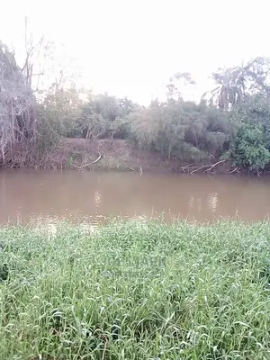 Shamba Linauzwa Tanga