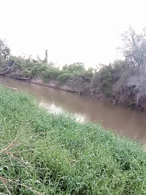 Shamba Linauzwa Tanga