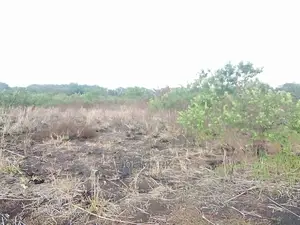 Shamba Linauzwa Tanga