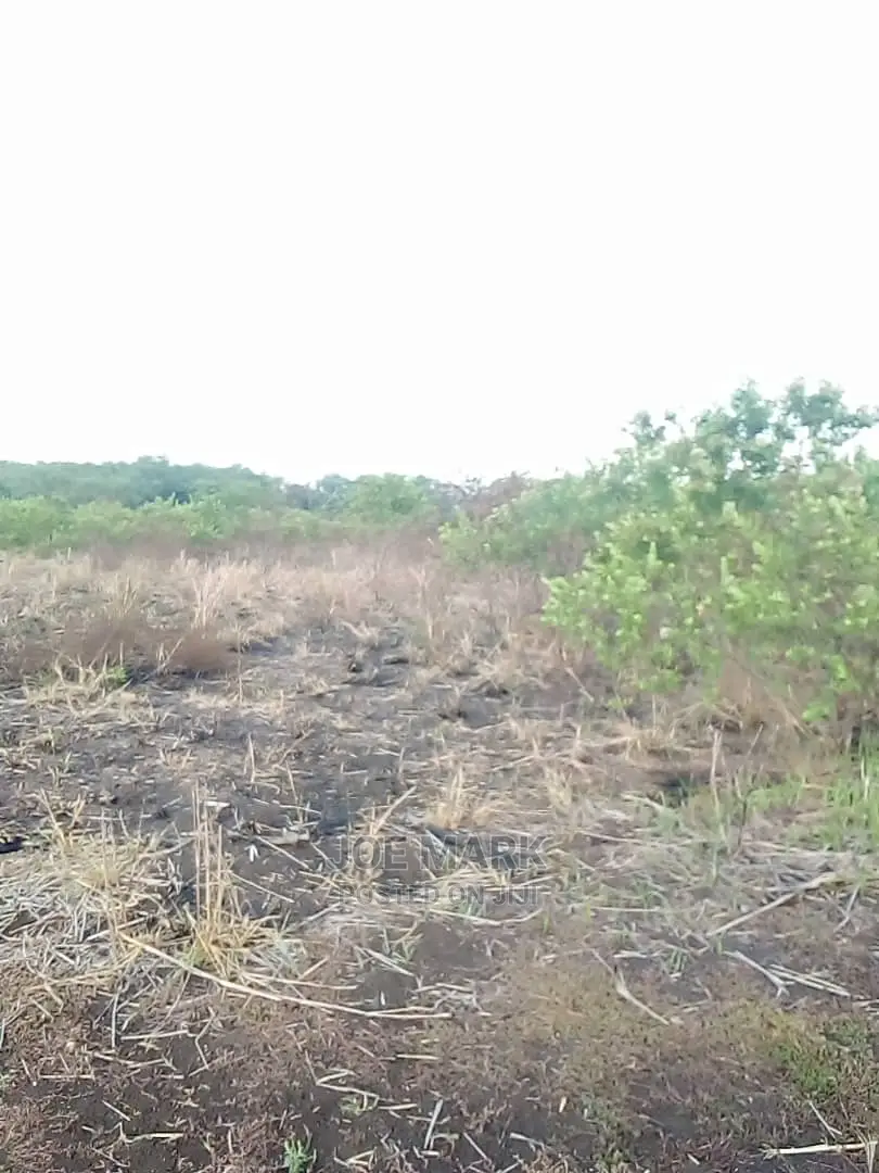 Shamba Linauzwa Tanga