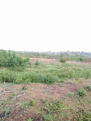 Shamba Linauzwa Tanga