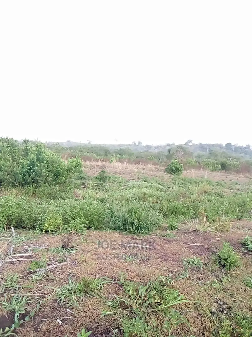 Shamba Linauzwa Tanga