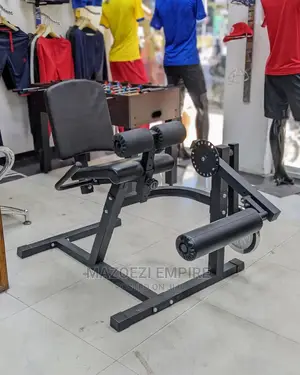 Leg Extension