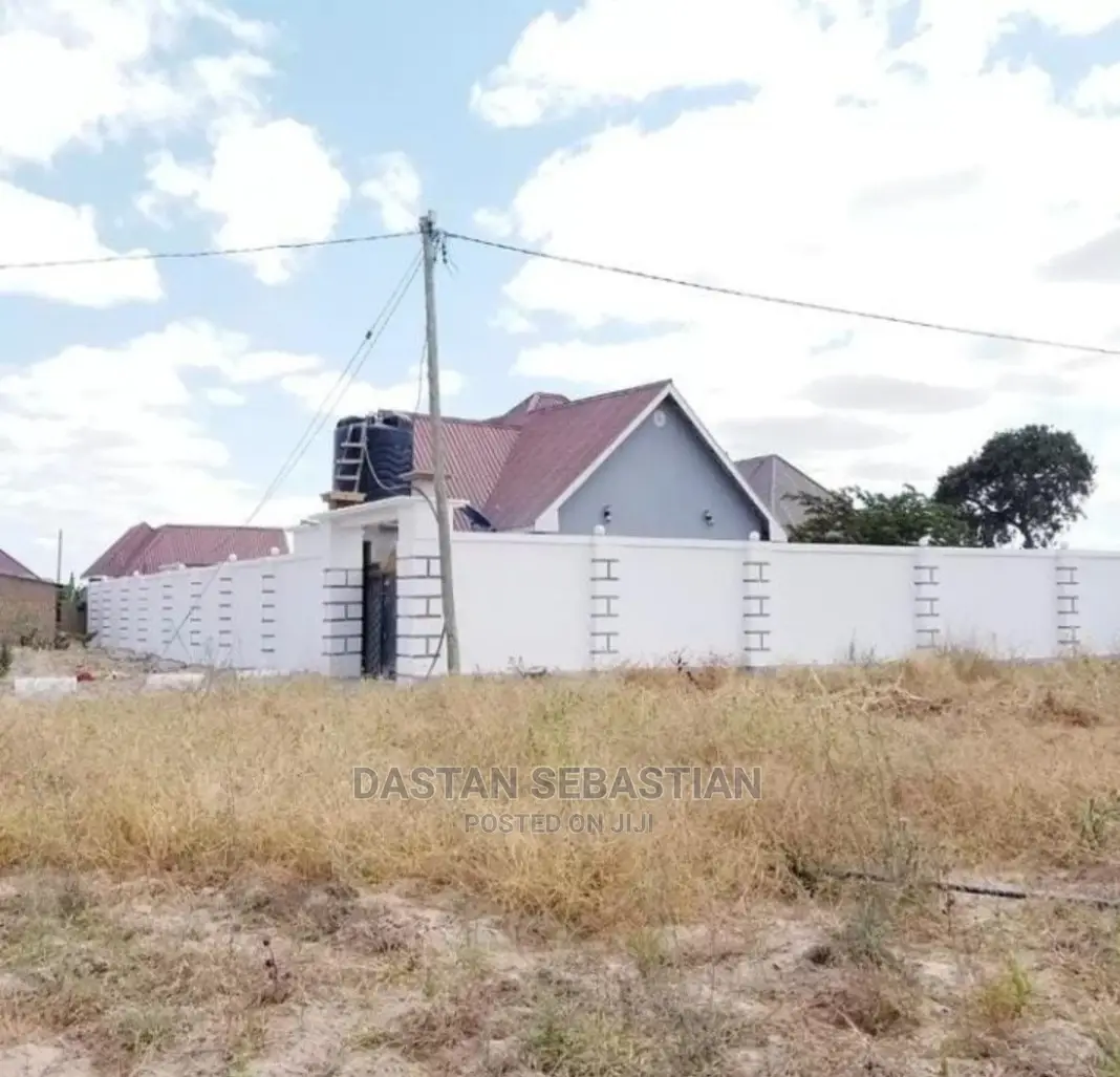 Wekeza Kwenye Ardhi Na Kambele