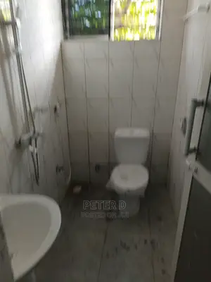 1bdrm Apartment in Kinondoni for rent