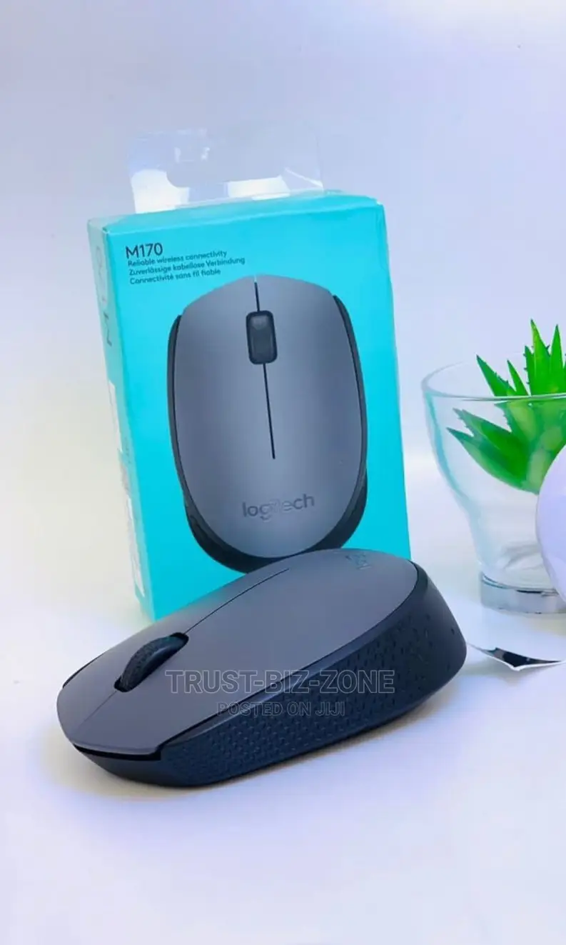 Logitech Mouse M170