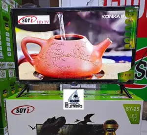 Soyi Tv 25 Inch