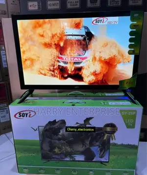 Soyi Tv 25 Inch