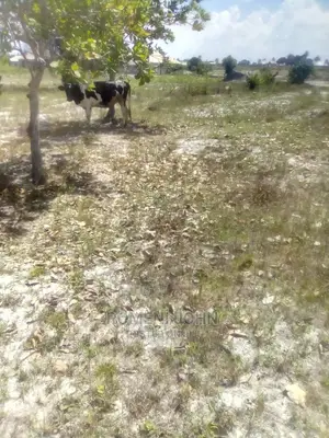 Eneo La Makazi Na Biashara Linauzwa