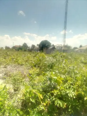 Eneo La Biashara Na Makazi Linauzwa Milioni 25