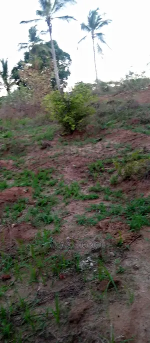 Shamba Bora Kwa Kilimo Cha Kumwagilia