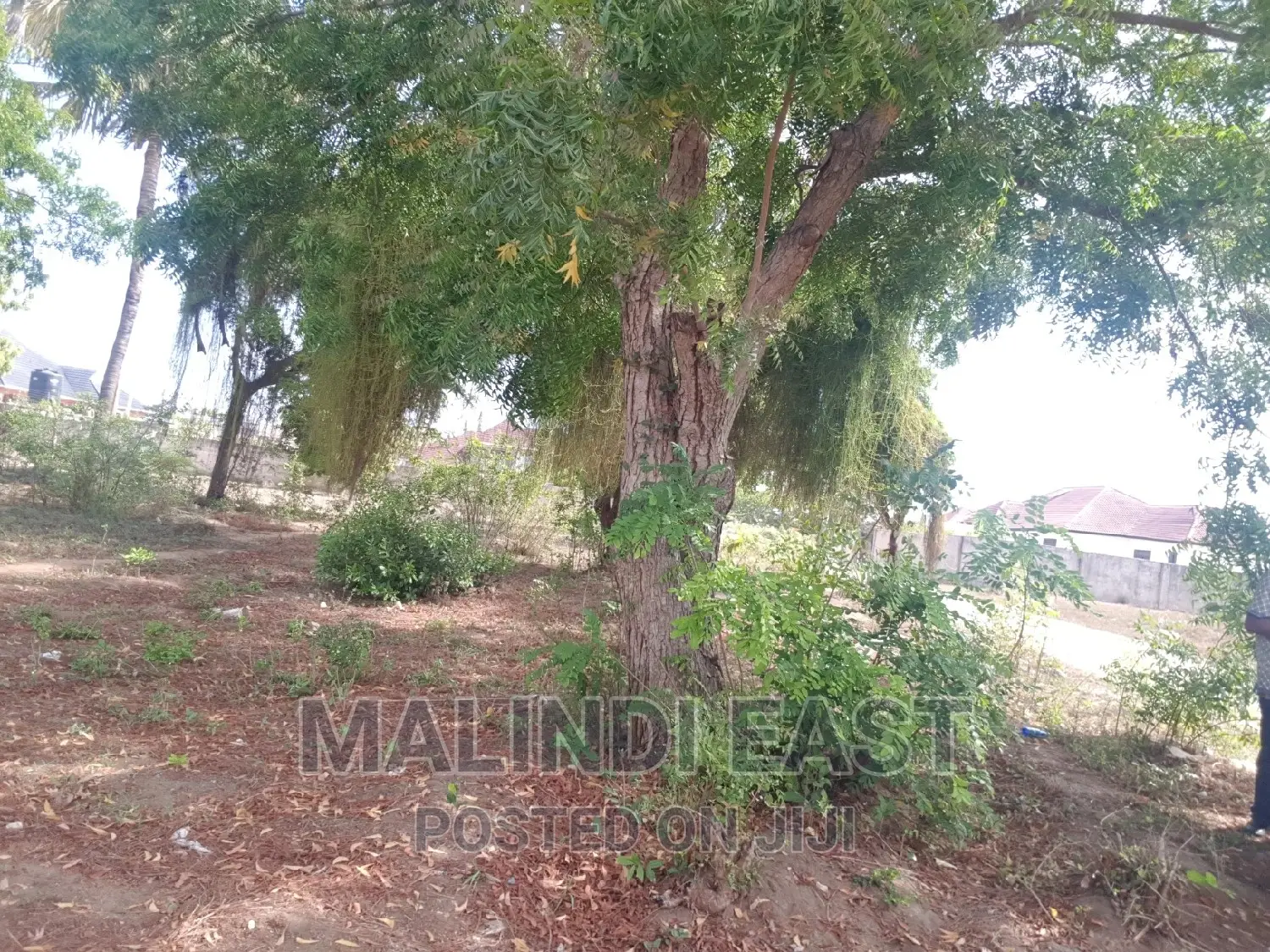 Kigamboni Kimbiji Surveyed Plot for Sale by Owner