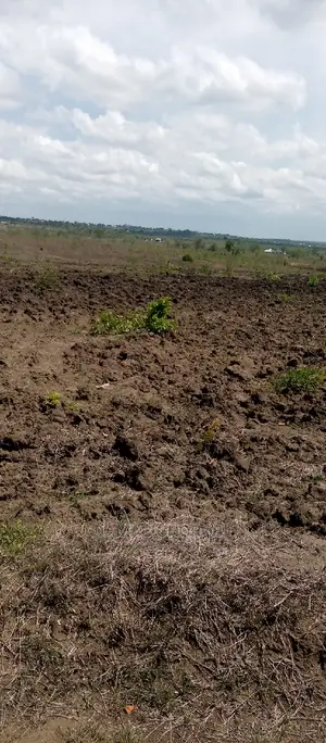 Acre 7000 for Sale Iringa