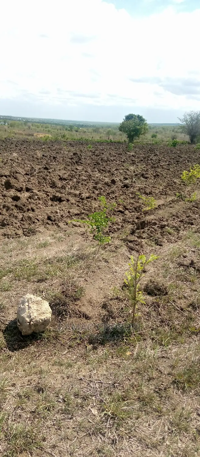 Acre 7000 for Sale Iringa