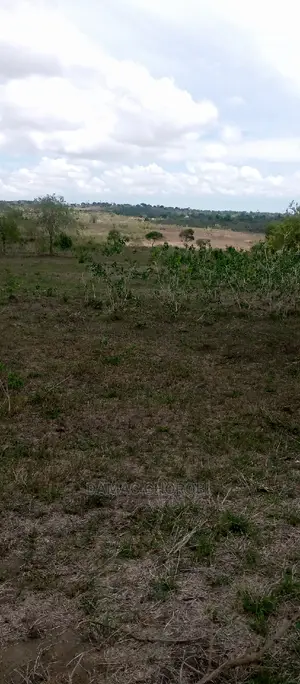 Acre 1000 Mkata for Sale